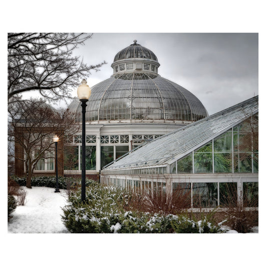 1003 Allan Gardens