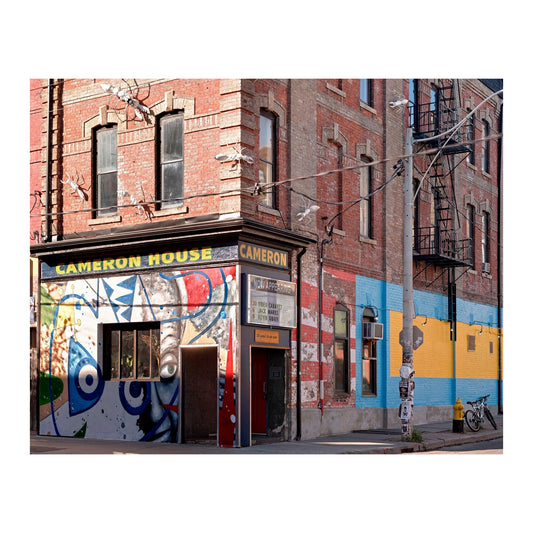 1013 Cameron House Horizontal