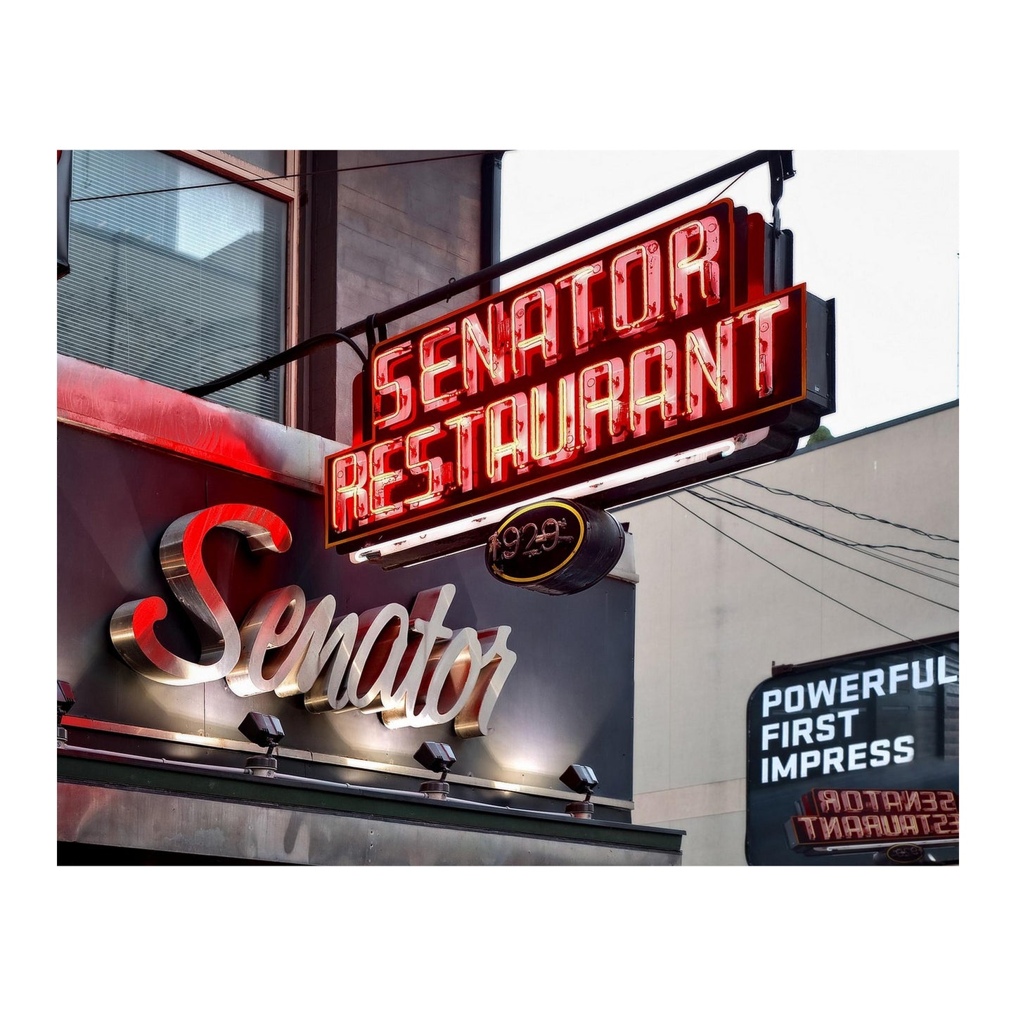 Senator