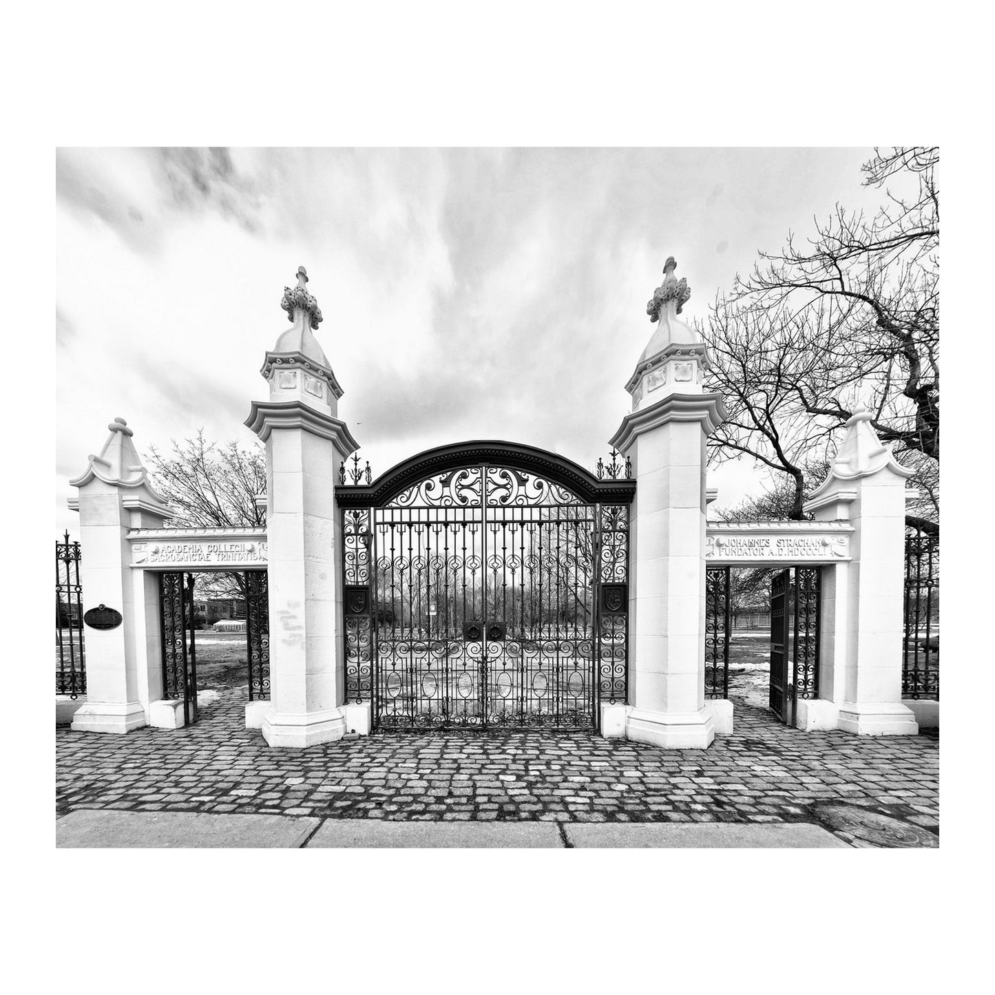 Trinity Bellwoods Gates