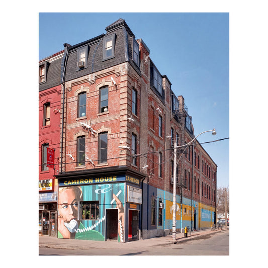 1014 Cameron House Vertical