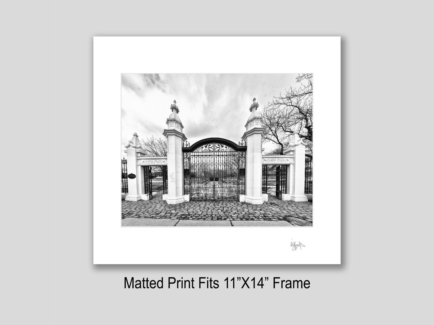 Trinity Bellwoods Gates