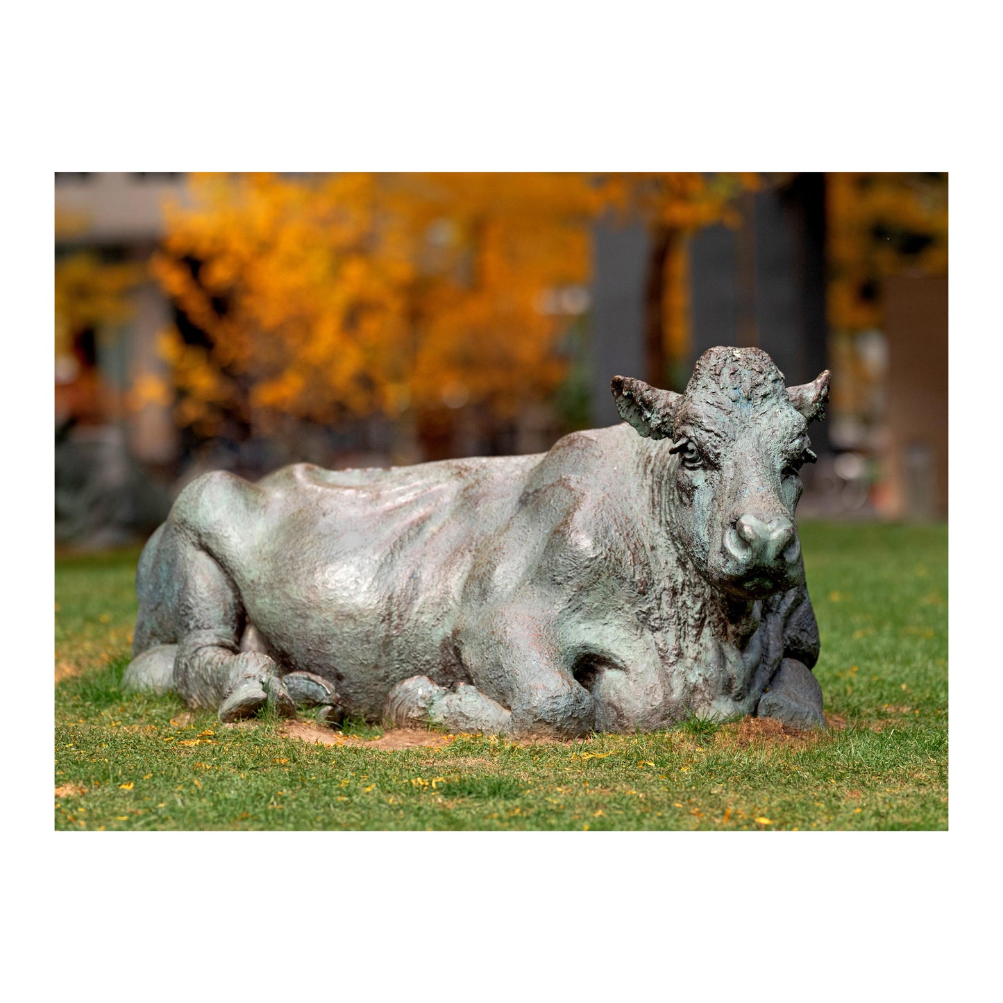 TD Cow Sculpture