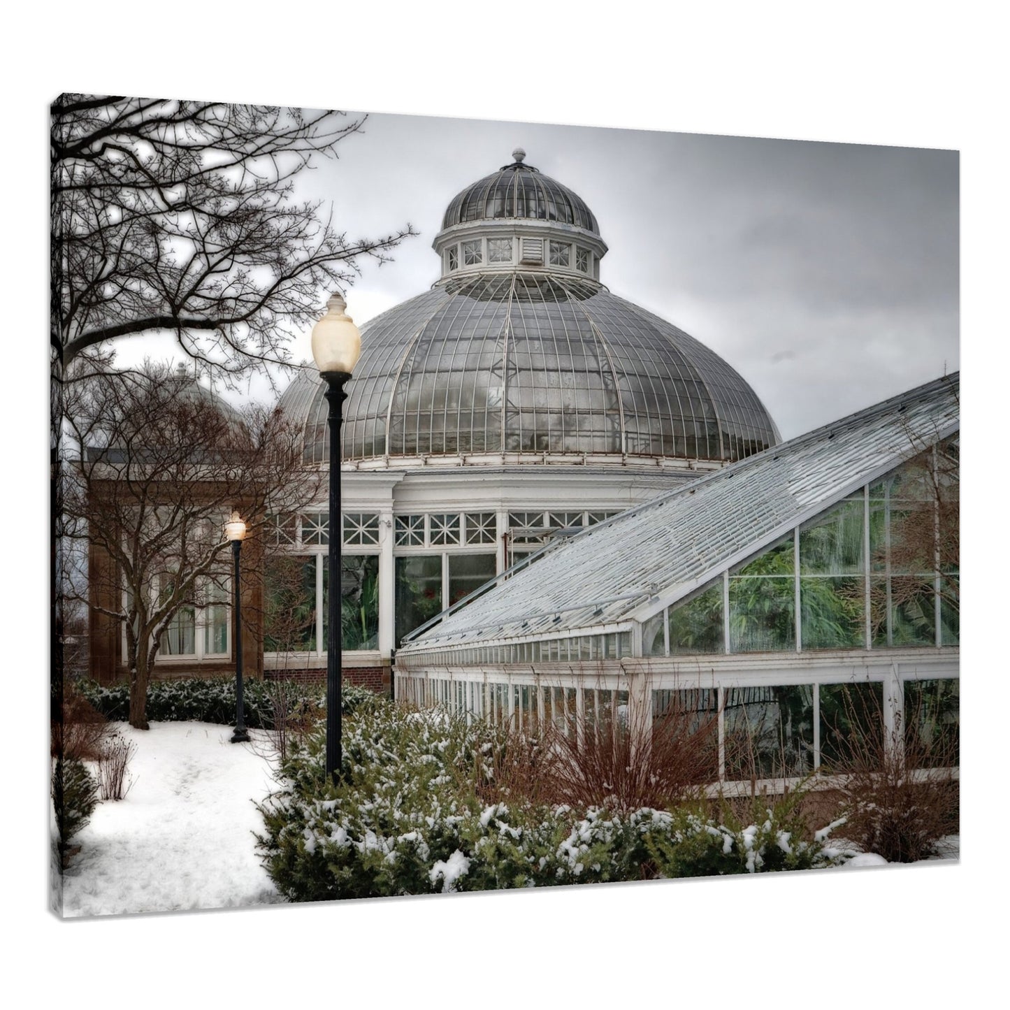1003 Allan Gardens