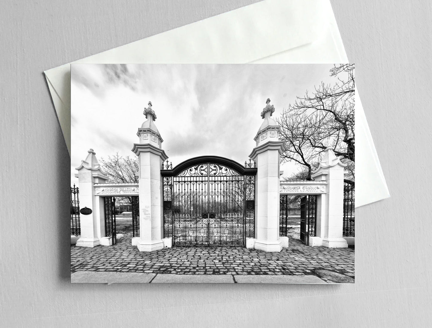 Trinity Bellwoods Gates