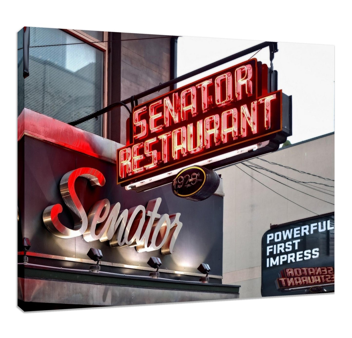 Senator