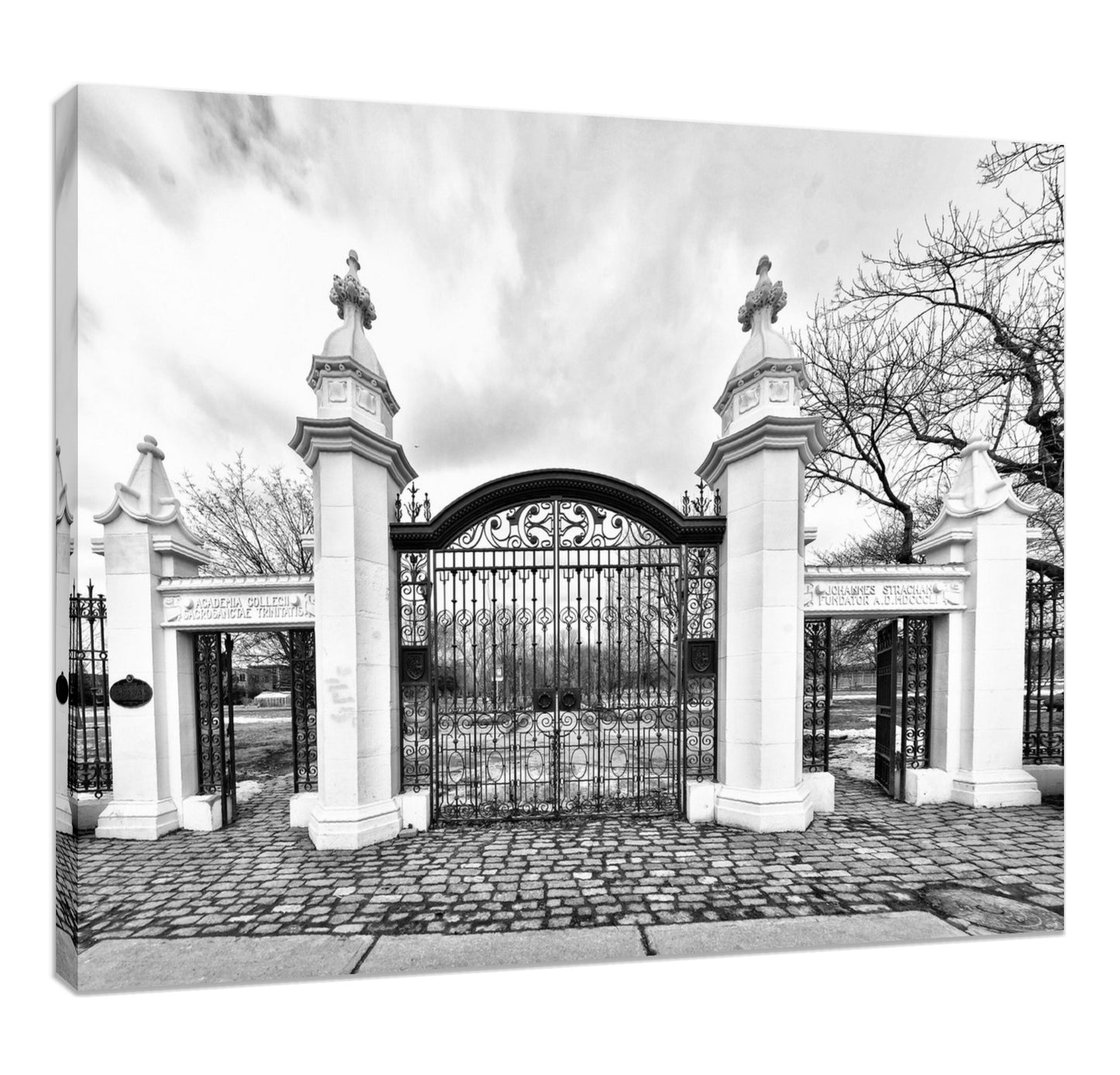 Trinity Bellwoods Gates