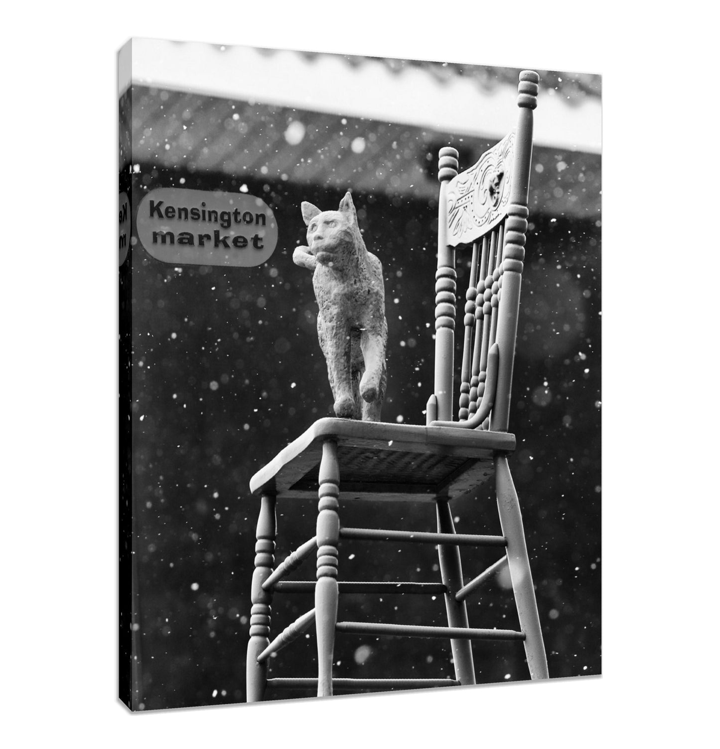 Kensington Entrance Cat