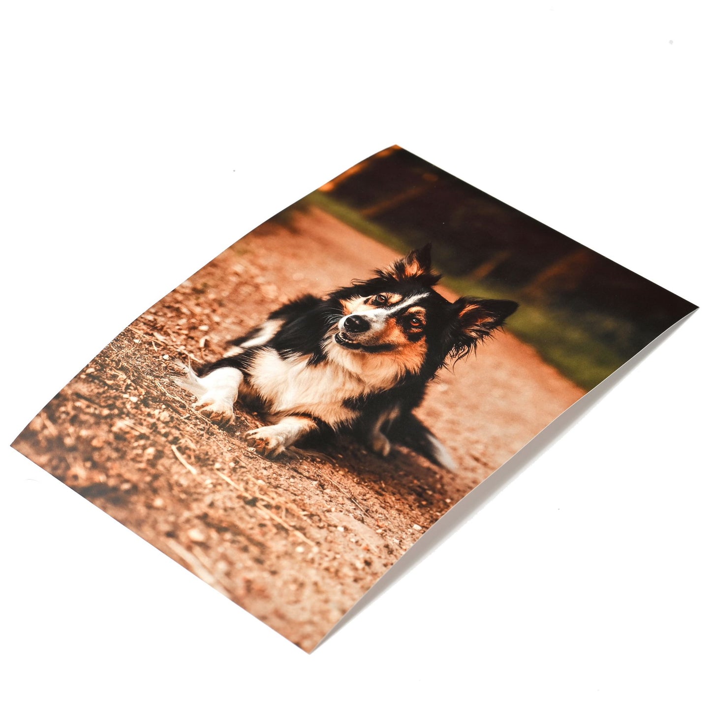 Luster Photo Paper - Custom Size Print