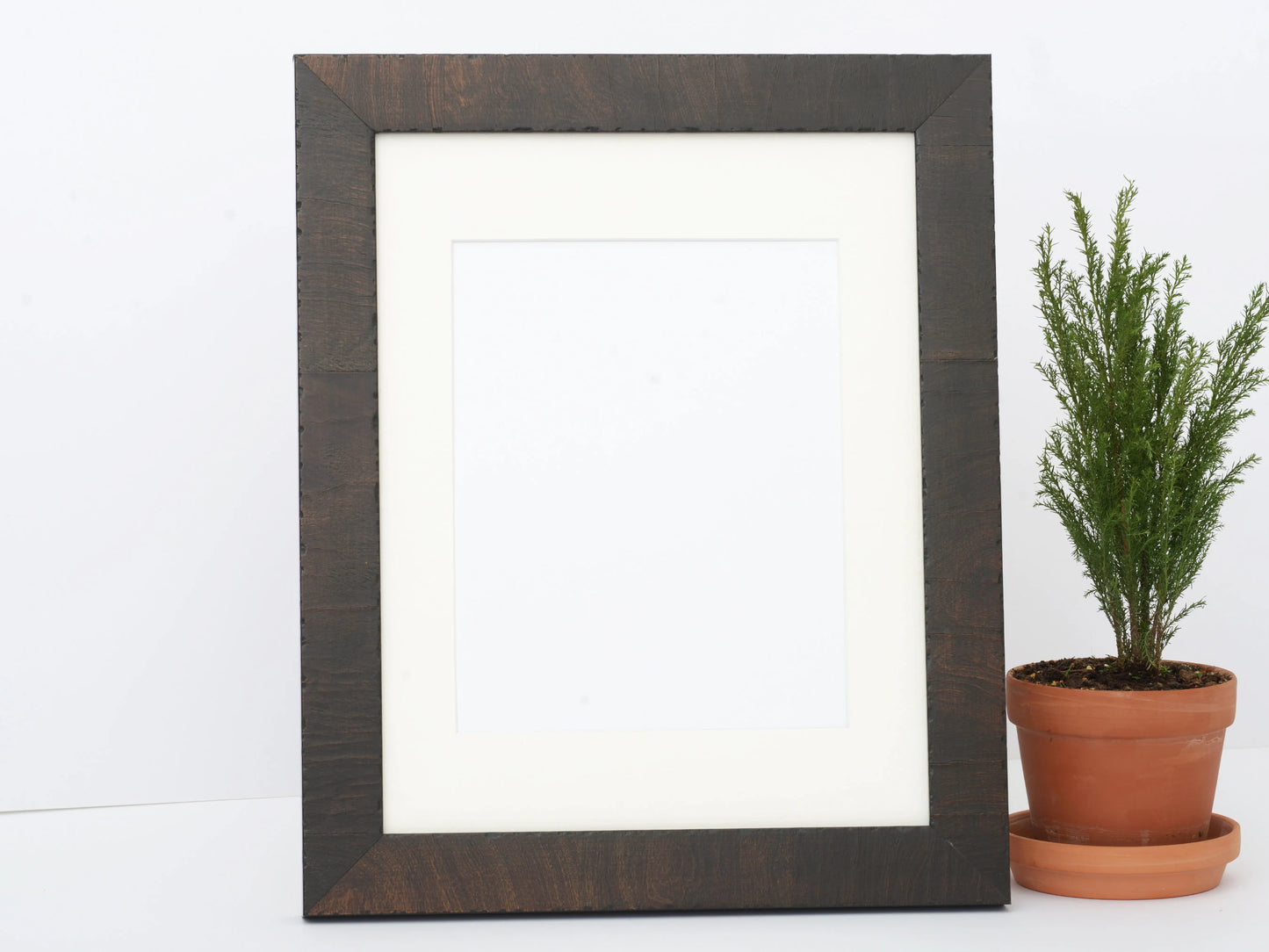 Distressed Authentic Olive Veneer With Charcoal Stain