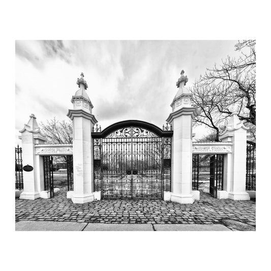 Trinity Bellwoods Gates