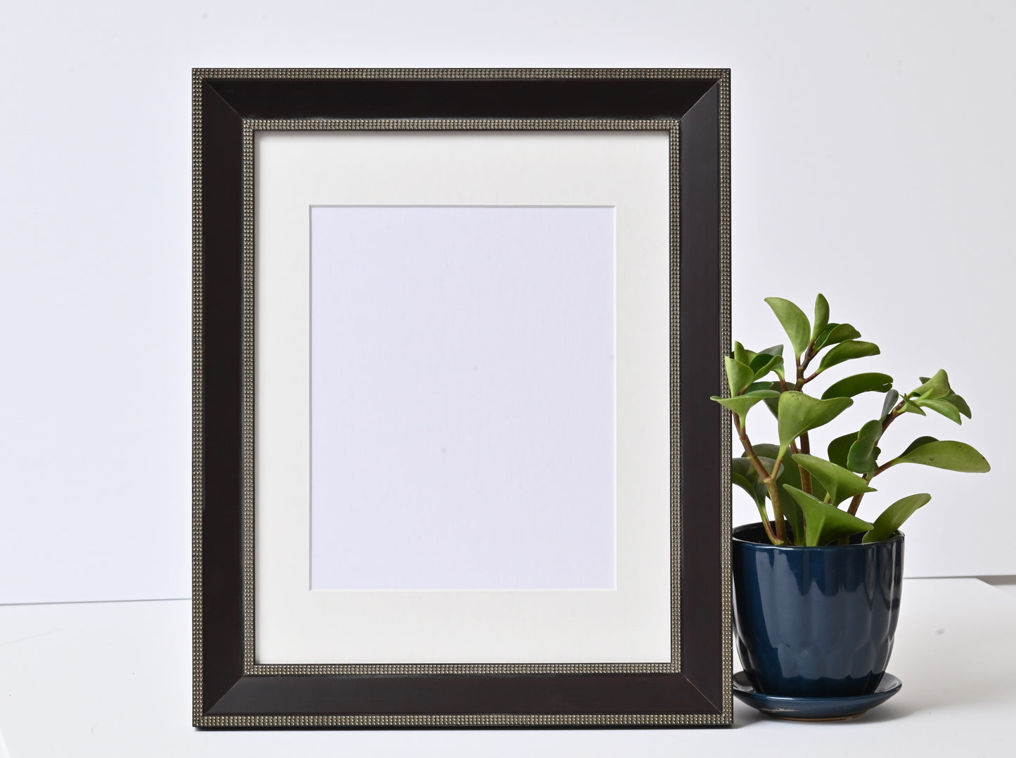 Sloped Profile With Silver Beads Separated With Black Panel  11"X14" Frame   ONE ONLY