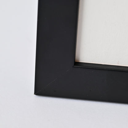 1001BL - PICKUP ONLY 8"X10"  3/4" Wide Black Frame