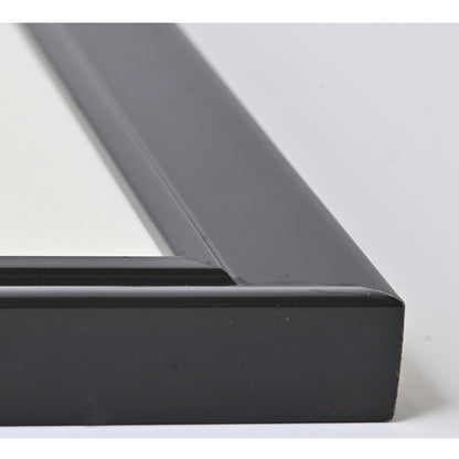 Black Stain With Lacquer Finish On Raised lip Profile