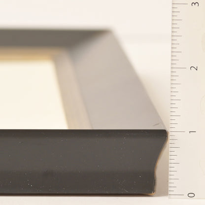 Slope Profile With Satin Black Finish and Brushed Silver Lip