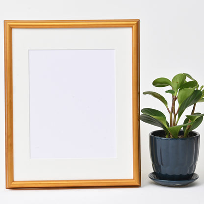 Metallic Bright Gold Picture Frame on Swan Profile