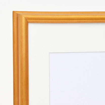Metallic Bright Gold Picture Frame on Swan Profile