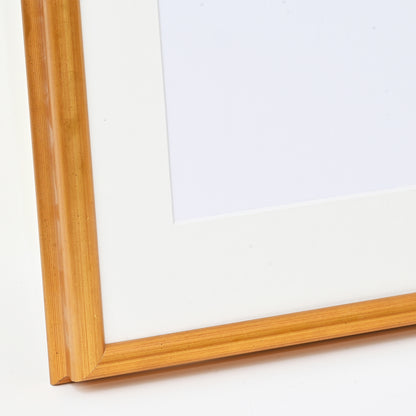 Metallic Bright Gold Picture Frame on Swan Profile