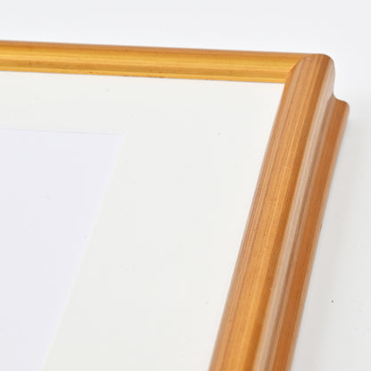 Metallic Bright Gold Picture Frame on Swan Profile