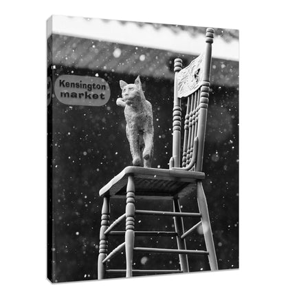 Kensington Entrance Cat