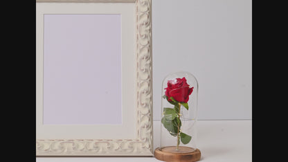 8352WH Ornate Profile With Rustic White Satin Finish